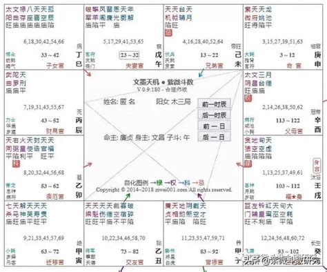 咸池 財帛宮|紫微斗數中的桃花星——咸池